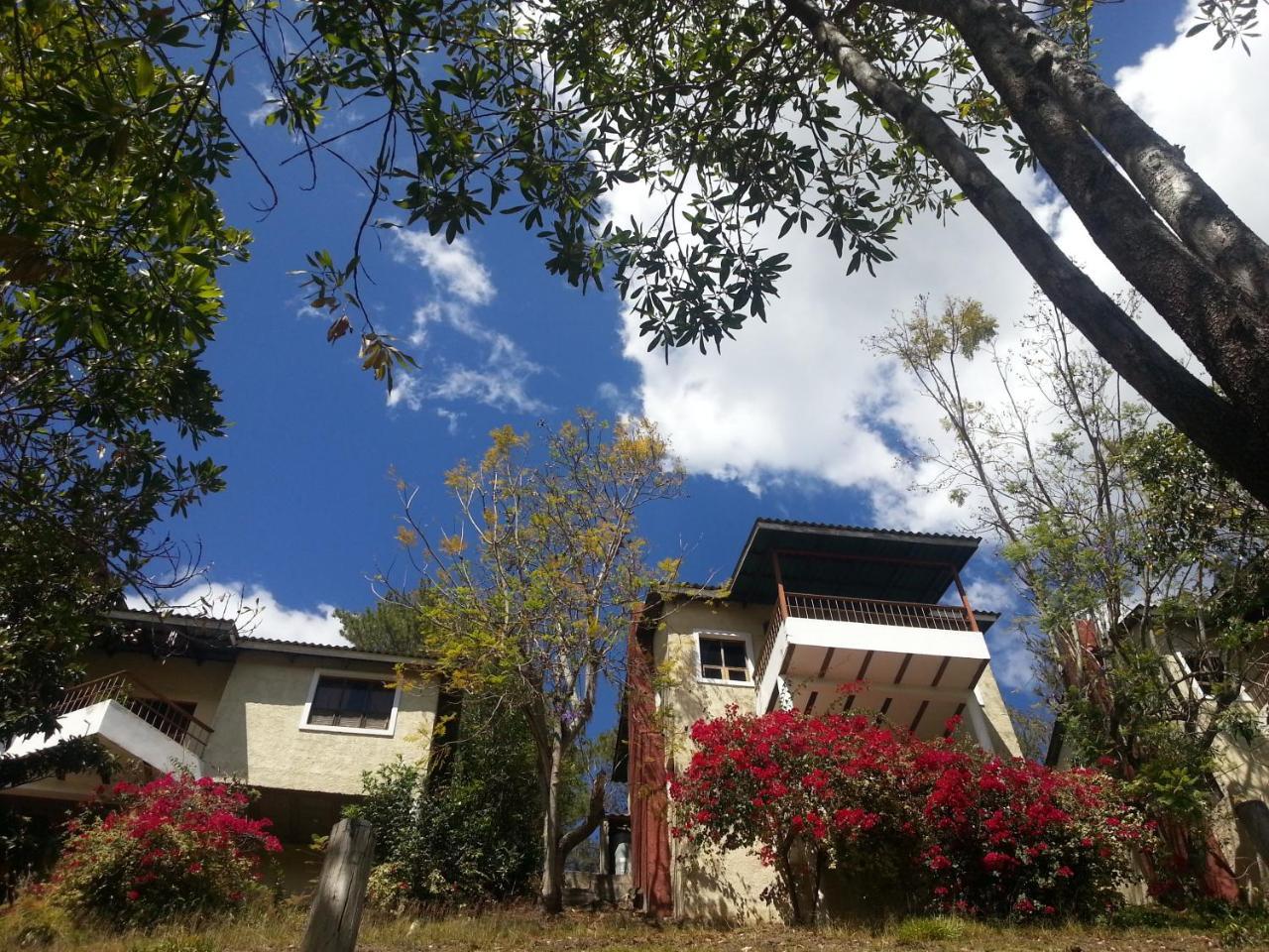 Hotel Altocerro Constanza Exterior photo